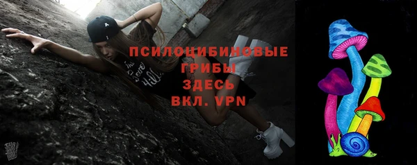 ГАЛЛЮЦИНОГЕННЫЕ ГРИБЫ Абдулино