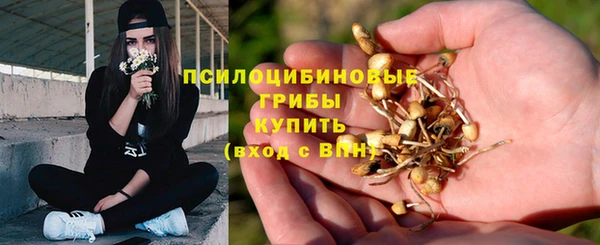 молекула духа Абинск